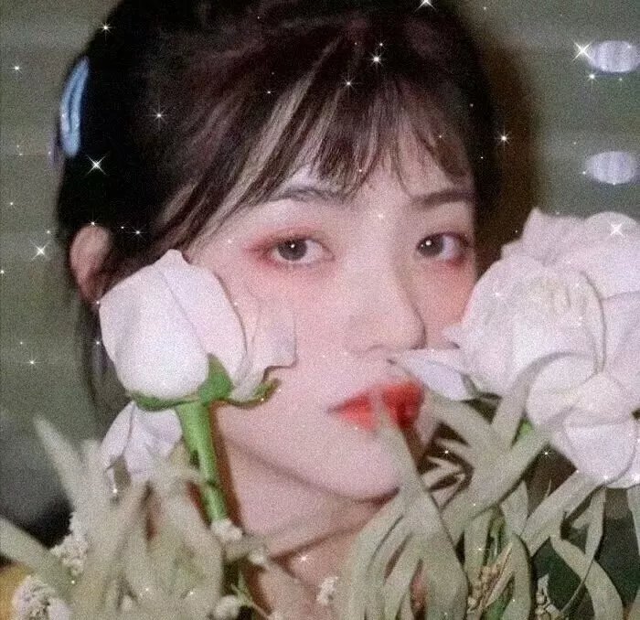 张星辰明星照片